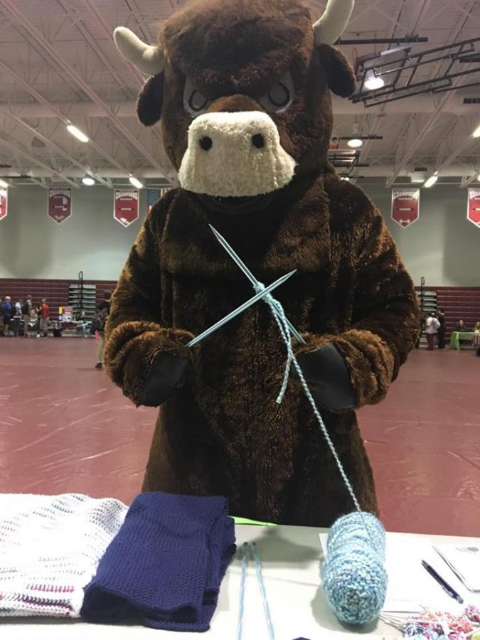 The bull signing up for knitting club during club day.