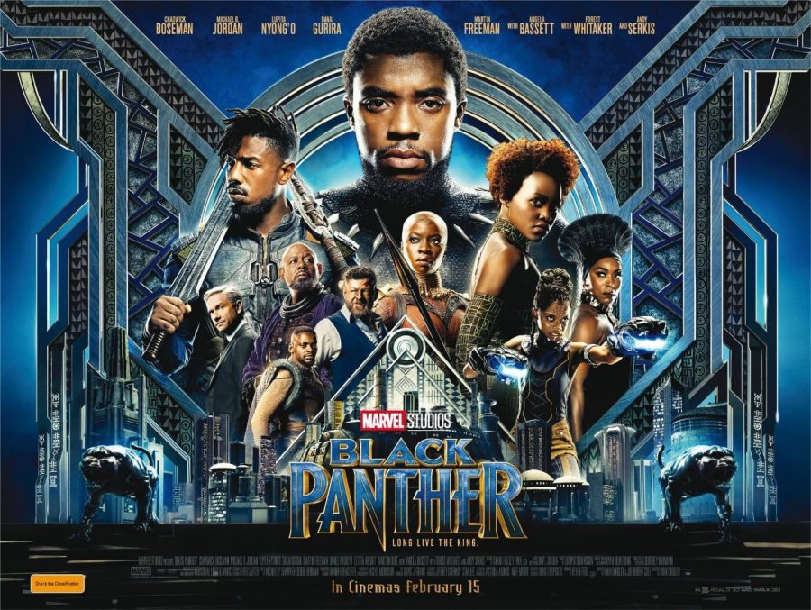 The promotional poster for last years Blockbuster film Black Panther.