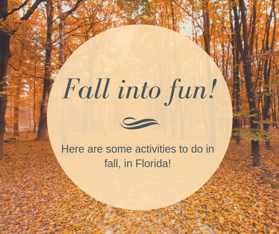 Fall into fun!