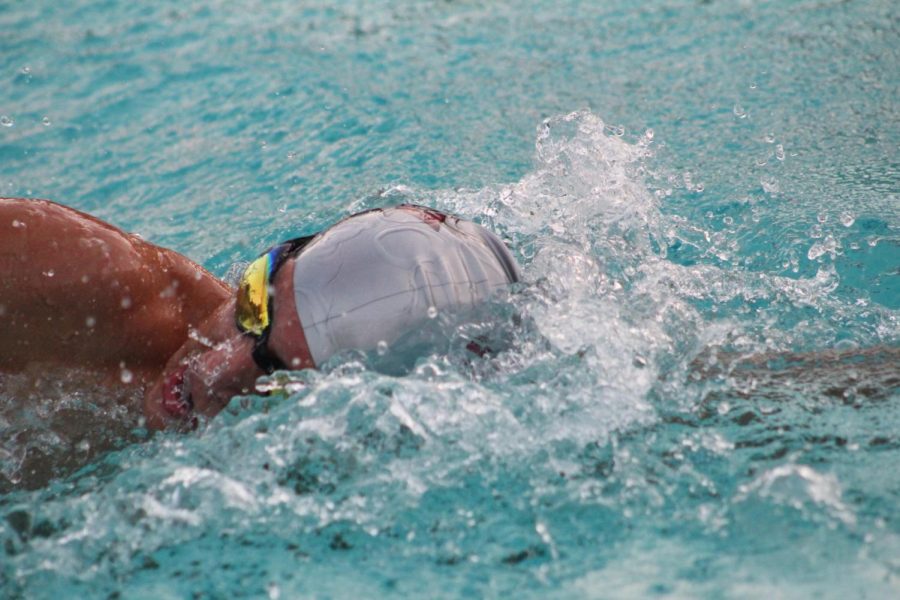 The boy’s swim and dive team is victorious