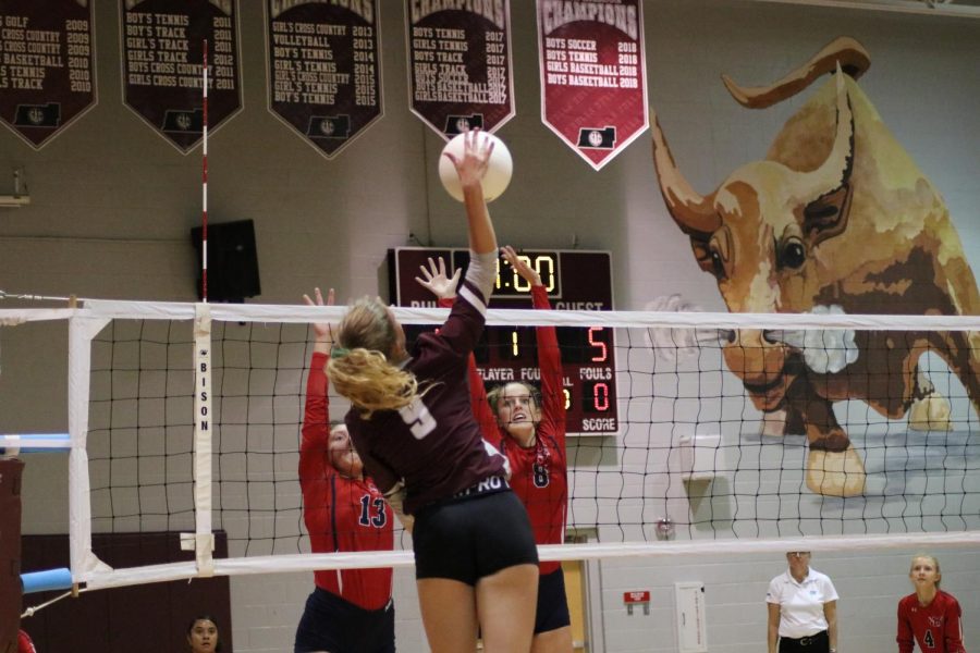 Wiregrass volleyball makes school history