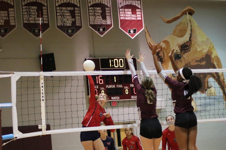 The Stampede Wiregrass volleyball makes school history
