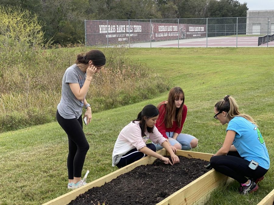 Hewitt assisting students planting seeds in the garden. 