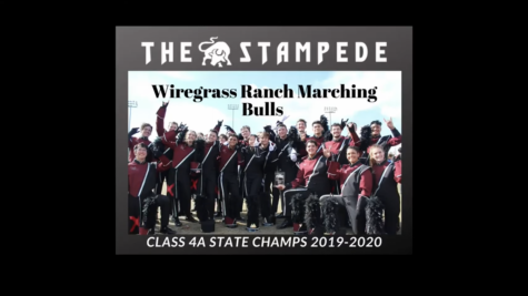 Wiregrass Ranch Marching Bulls at the State championship competition.