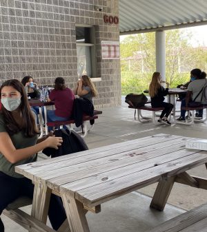 Students enjoy lunch in the fresh-air outside