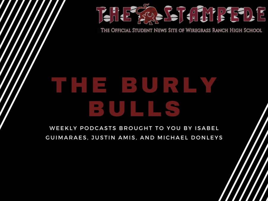 The Burly Bulls podcast focuses on Wiregrass sports. 