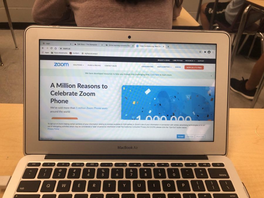 Zoom is where most of the classes are held