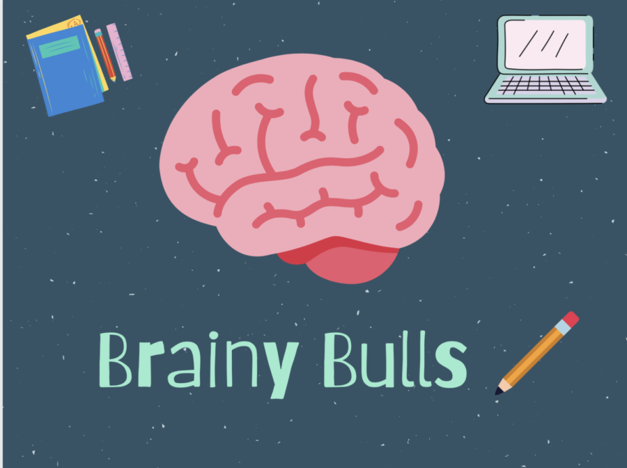 The+Brainy+Bulls+podcasts+focuses+on+tips+and+tricks+for+thriving+in+high+school+and+preparing+for+college.
