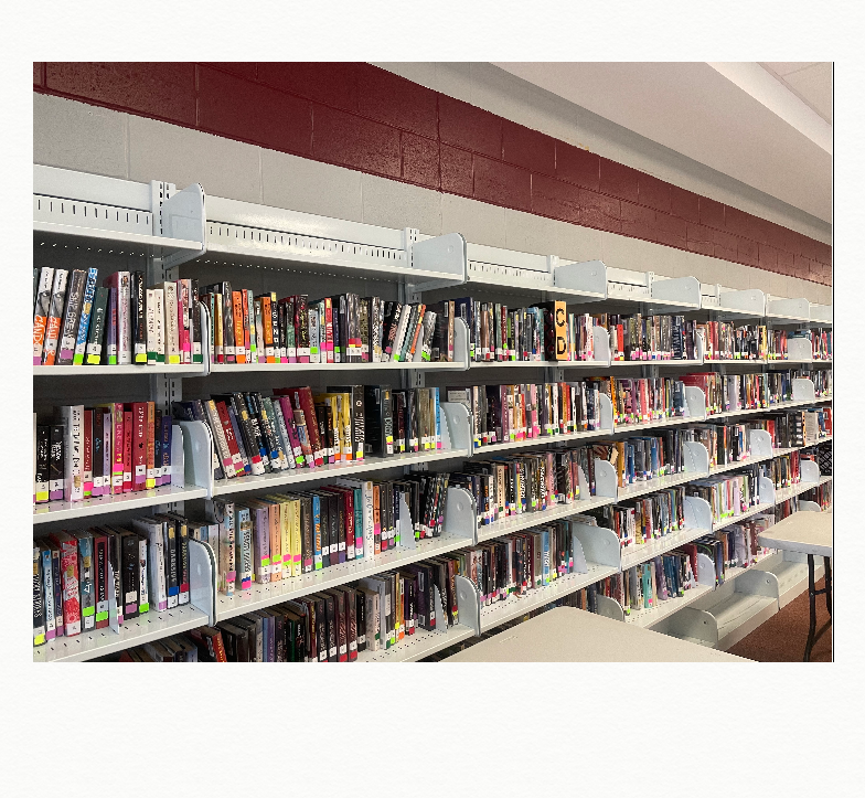 Recently the media center at WRHS has been in need of even more books, in order to give the students more of the books they love. 